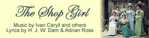 The Shop Girl