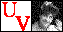 U-V Index